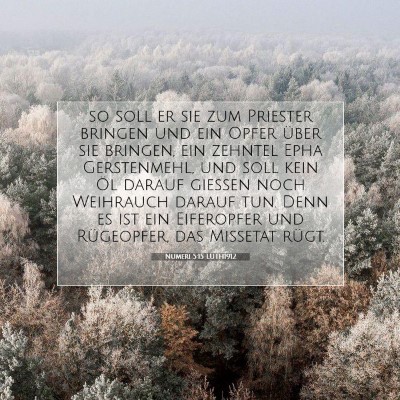 Picture 07 - Numeri 5:15 LUTH1912 - so soll er sie zum Priester bringen und ein Opfer - Bible Verse Picture