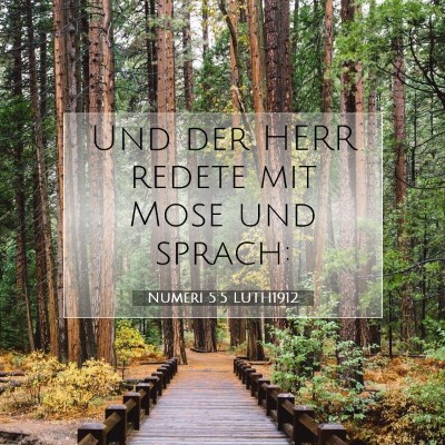 Picture 07 - Numeri 5:5 LUTH1912 - Und der HERR redete mit Mose und - Bible Verse Picture