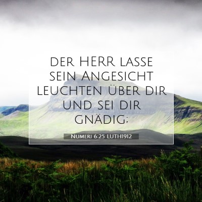 Picture 07 - Numeri 6:25 LUTH1912 - der HERR lasse sein Angesicht leuchten über dir - Bible Verse Picture