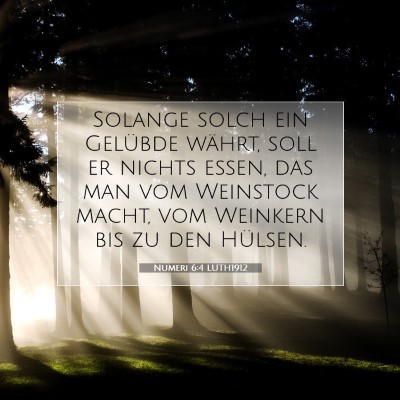 Picture 07 - Numeri 6:4 LUTH1912 - Solange solch ein Gelübde währt, soll er nichts - Bible Verse Picture