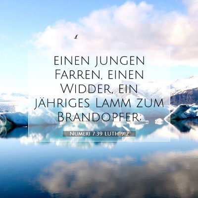 Picture 07 - Numeri 7:39 LUTH1912 - einen jungen Farren, einen Widder, ein jähriges - Bible Verse Picture
