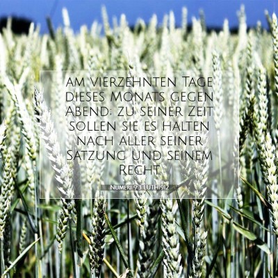 Picture 07 - Numeri 9:3 LUTH1912 - am vierzehnten Tage dieses Monats gegen Abend; zu - Bible Verse Picture