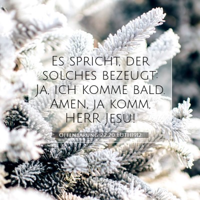 Picture 07 - Offenbarung 22:20 LUTH1912 - Es spricht, der solches bezeugt: Ja, ich komme - Bible Verse Picture