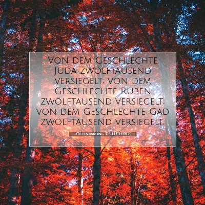 Picture 07 - Offenbarung 7:5 LUTH1912 - Von dem Geschlechte Juda zwölftausend - Bible Verse Picture