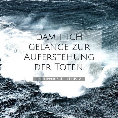 Picture 07 - Philipper 3:11 LUTH1912 - damit ich gelange zur Auferstehung der - Bible Verse Picture