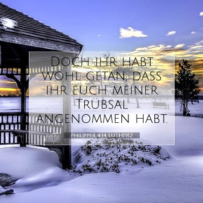 Picture 07 - Philipper 4:14 LUTH1912 - Doch ihr habt wohl getan, daß ihr euch meiner - Bible Verse Picture