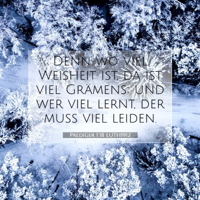 Picture 07 - Prediger 1:18 LUTH1912 - Denn wo viel Weisheit ist, da ist viel Grämens; - Bible Verse Picture