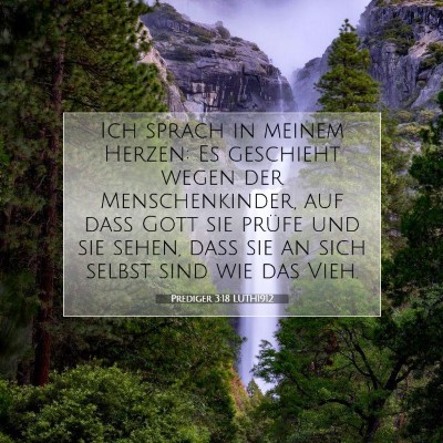 Picture 07 - Prediger 3:18 LUTH1912 - Ich sprach in meinem Herzen: Es geschieht wegen - Bible Verse Picture