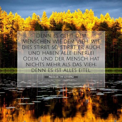 Picture 07 - Prediger 3:19 LUTH1912 - Denn es geht dem Menschen wie dem Vieh: wie dies - Bible Verse Picture
