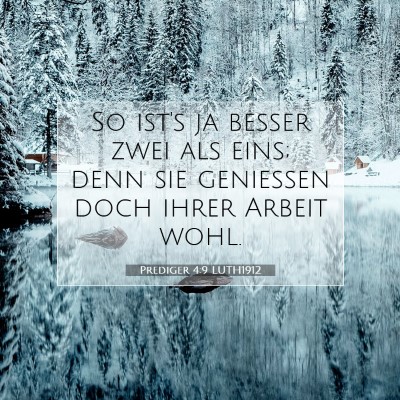 Picture 07 - Prediger 4:9 LUTH1912 - So ist's ja besser zwei als eins; denn sie - Bible Verse Picture