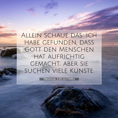 Picture 07 - Prediger 7:29 LUTH1912 - Allein schaue das: ich habe gefunden, daß Gott - Bible Verse Picture