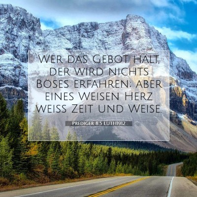 Picture 07 - Prediger 8:5 LUTH1912 - Wer das Gebot hält, der wird nichts Böses - Bible Verse Picture