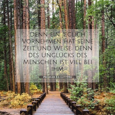 Picture 07 - Prediger 8:6 LUTH1912 - Denn ein jeglich Vornehmen hat seine Zeit und - Bible Verse Picture