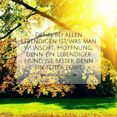 Picture 07 - Prediger 9:4 LUTH1912 - Denn bei allen Lebendigen ist, was man wünscht: - Bible Verse Picture