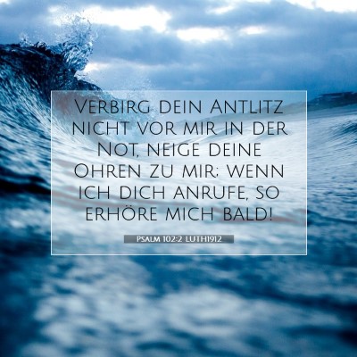 Picture 07 - Psalm 102:2 LUTH1912 - Verbirg dein Antlitz nicht vor mir in der Not, - Bible Verse Picture