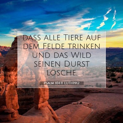Picture 07 - Psalm 104:11 LUTH1912 - daß alle Tiere auf dem Felde trinken und das - Bible Verse Picture