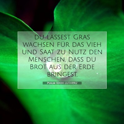 Picture 07 - Psalm 104:14 LUTH1912 - du lässest Gras wachsen für das Vieh und Saat - Bible Verse Picture