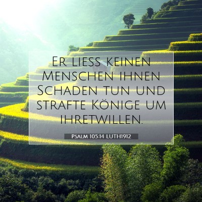 Picture 07 - Psalm 105:14 LUTH1912 - Er ließ keinen Menschen ihnen Schaden tun und - Bible Verse Picture