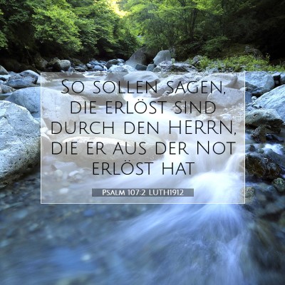 Picture 07 - Psalm 107:2 LUTH1912 - So sollen sagen, die erlöst sind durch den - Bible Verse Picture