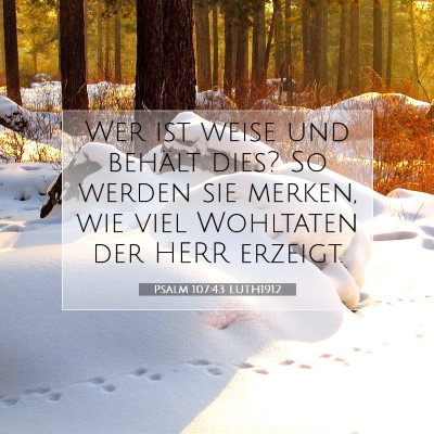 Picture 07 - Psalm 107:43 LUTH1912 - Wer ist weise und behält dies? So werden sie - Bible Verse Picture