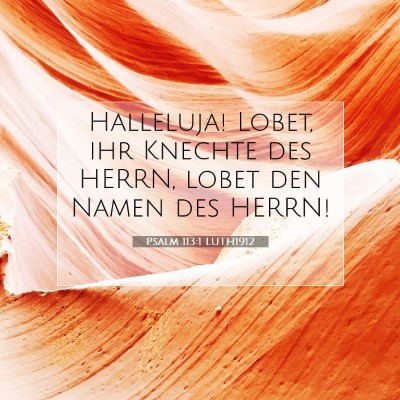 Picture 07 - Psalm 113:1 LUTH1912 - Halleluja! Lobet, ihr Knechte des HERRN, lobet - Bible Verse Picture