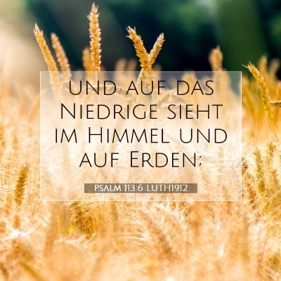 Picture 07 - Psalm 113:6 LUTH1912 - und auf das Niedrige sieht im Himmel und auf - Bible Verse Picture