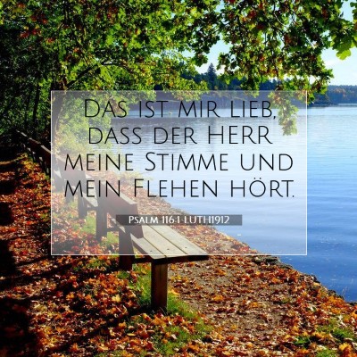 Picture 07 - Psalm 116:1 LUTH1912 - Das ist mir lieb, daß der HERR meine Stimme und - Bible Verse Picture