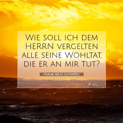 Picture 07 - Psalm 116:12 LUTH1912 - Wie soll ich dem HERRN vergelten alle seine - Bible Verse Picture
