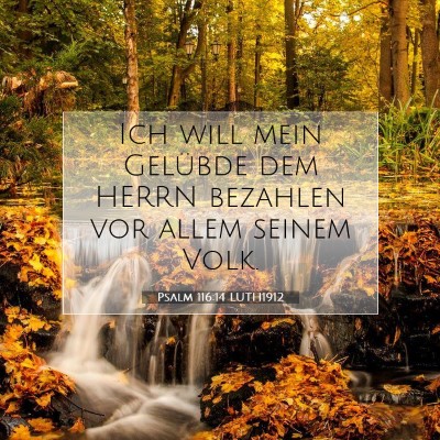 Picture 07 - Psalm 116:14 LUTH1912 - Ich will mein Gelübde dem HERRN bezahlen vor - Bible Verse Picture