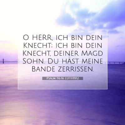 Picture 07 - Psalm 116:16 LUTH1912 - O HERR, ich bin dein Knecht; ich bin dein Knecht, - Bible Verse Picture