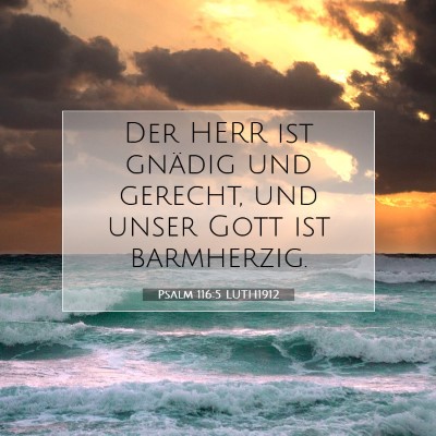 Picture 07 - Psalm 116:5 LUTH1912 - Der HERR ist gnädig und gerecht, und unser Gott - Bible Verse Picture