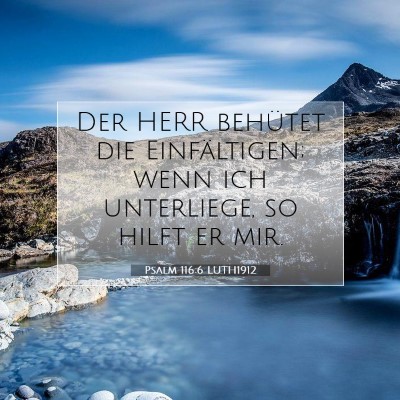 Picture 07 - Psalm 116:6 LUTH1912 - Der HERR behütet die Einfältigen; wenn ich - Bible Verse Picture
