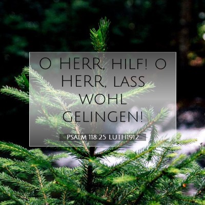 Picture 07 - Psalm 118:25 LUTH1912 - O HERR, hilf! o HERR, laß wohl - Bible Verse Picture