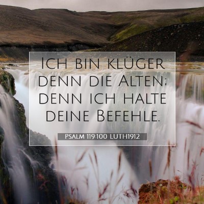 Picture 07 - Psalm 119:100 LUTH1912 - Ich bin klüger denn die Alten; denn ich halte - Bible Verse Picture
