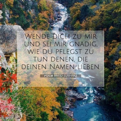 Picture 07 - Psalm 119:132 LUTH1912 - Wende dich zu mir und sei mir gnädig, wie du - Bible Verse Picture
