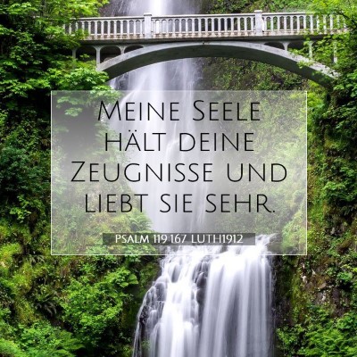 Picture 07 - Psalm 119:167 LUTH1912 - Meine Seele hält deine Zeugnisse und liebt sie - Bible Verse Picture