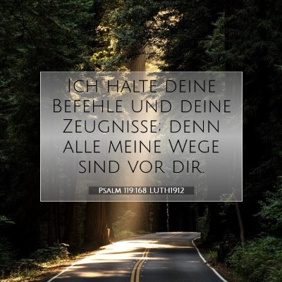 Picture 07 - Psalm 119:168 LUTH1912 - Ich halte deine Befehle und deine Zeugnisse; denn - Bible Verse Picture