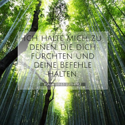 Picture 07 - Psalm 119:63 LUTH1912 - Ich halte mich zu denen, die dich fürchten und - Bible Verse Picture