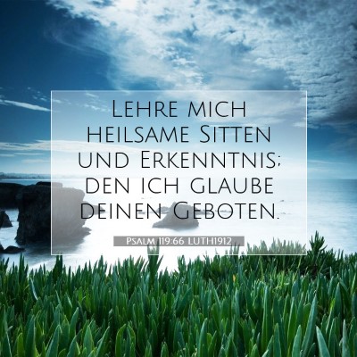 Picture 07 - Psalm 119:66 LUTH1912 - Lehre mich heilsame Sitten und Erkenntnis; den - Bible Verse Picture