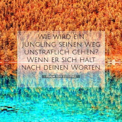 Picture 07 - Psalm 119:9 LUTH1912 - Wie wird ein Jüngling seinen Weg unsträflich - Bible Verse Picture
