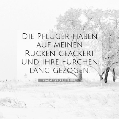 Picture 07 - Psalm 129:3 LUTH1912 - Die Pflüger haben auf meinen Rücken geackert - Bible Verse Picture
