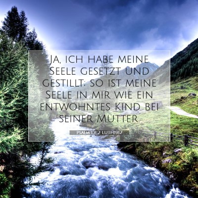 Picture 07 - Psalm 131:2 LUTH1912 - Ja, ich habe meine Seele gesetzt und gestillt; so - Bible Verse Picture