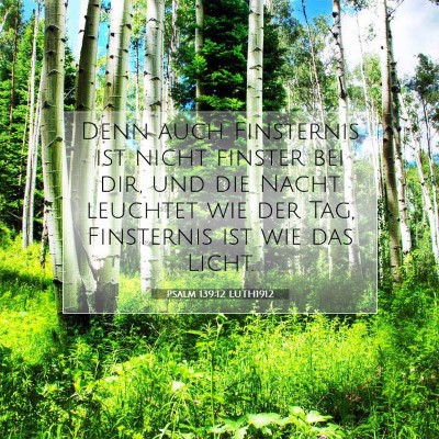 Picture 07 - Psalm 139:12 LUTH1912 - Denn auch Finsternis ist nicht finster bei dir, - Bible Verse Picture