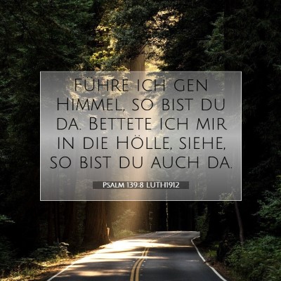 Picture 07 - Psalm 139:8 LUTH1912 - Führe ich gen Himmel, so bist du da. Bettete ich - Bible Verse Picture