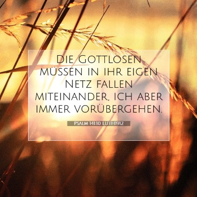 Picture 07 - Psalm 141:10 LUTH1912 - Die Gottlosen müssen in ihr eigen Netz fallen - Bible Verse Picture