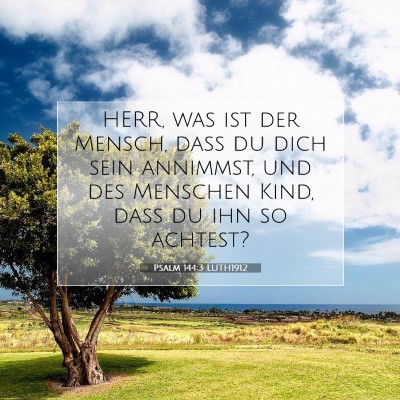 Picture 07 - Psalm 144:3 LUTH1912 - HERR, was ist der Mensch, daß du dich sein - Bible Verse Picture