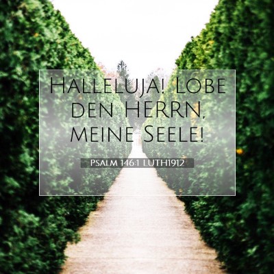 Picture 07 - Psalm 146:1 LUTH1912 - Halleluja! Lobe den HERRN, meine - Bible Verse Picture
