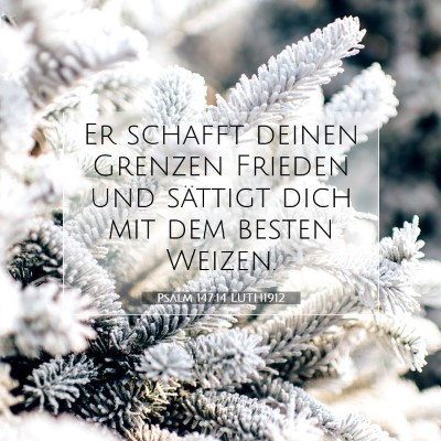 Picture 07 - Psalm 147:14 LUTH1912 - Er schafft deinen Grenzen Frieden und sättigt - Bible Verse Picture