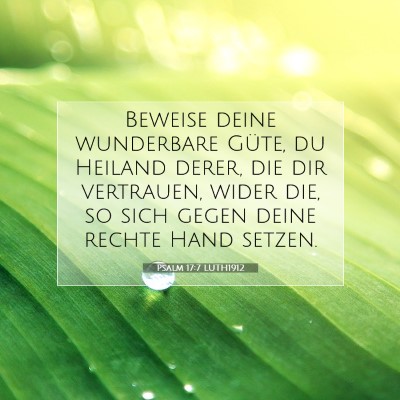 Picture 07 - Psalm 17:7 LUTH1912 - Beweise deine wunderbare Güte, du Heiland derer, - Bible Verse Picture