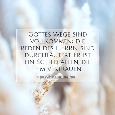 Picture 07 - Psalm 18:30 LUTH1912 - Gottes Wege sind vollkommen; die Reden des HERRN - Bible Verse Picture